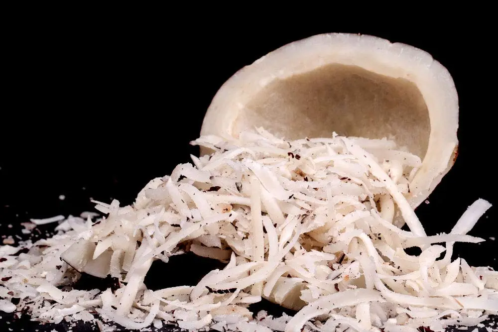Dry coconut