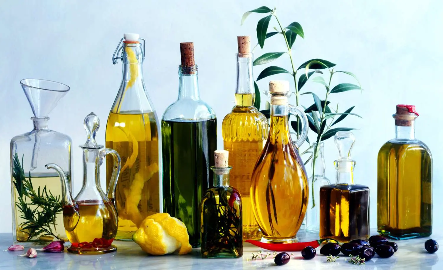Edible oils