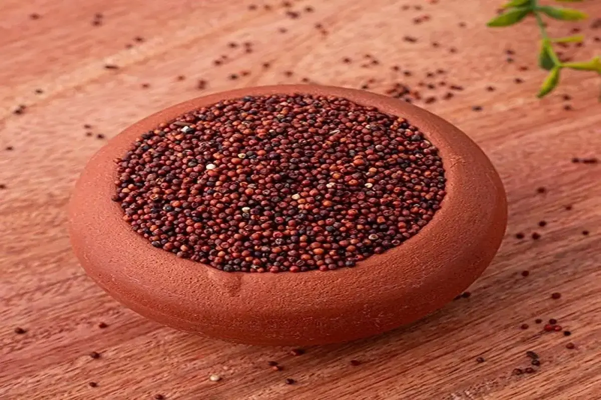 Finger millet
